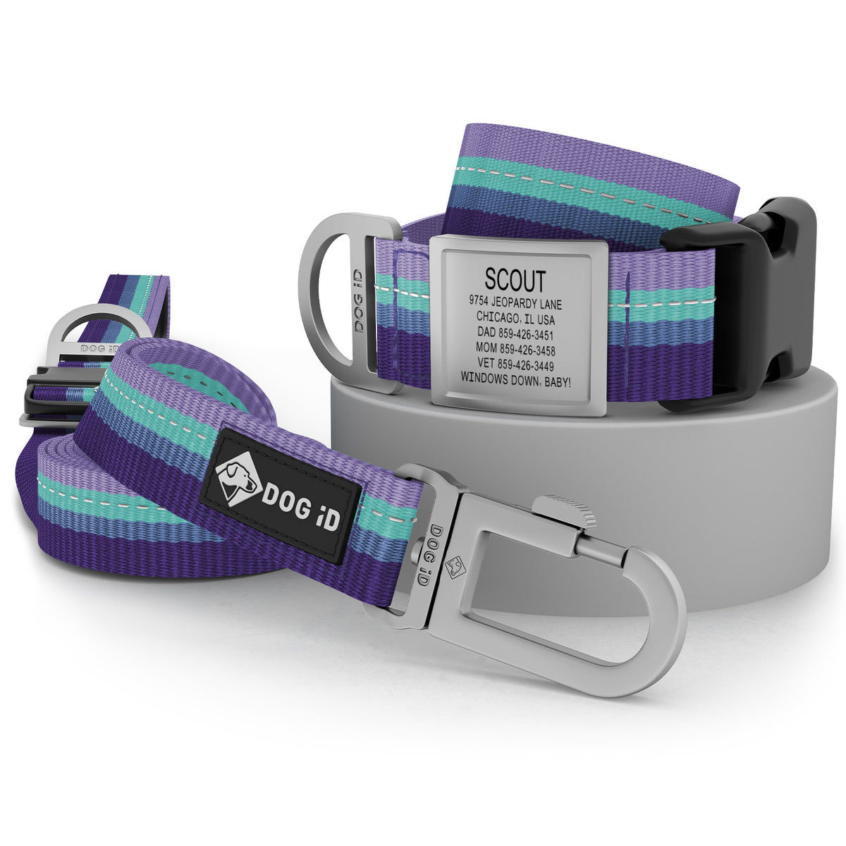 Collar + ID + Leash
