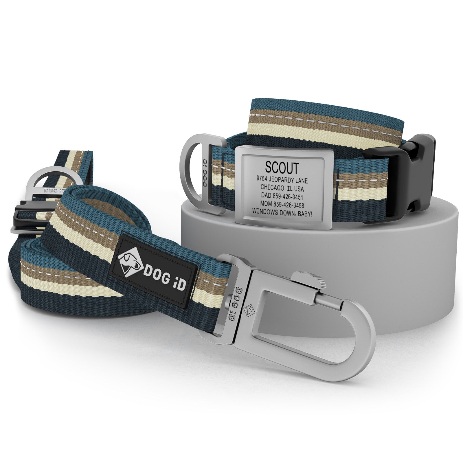 Collar + ID + Leash