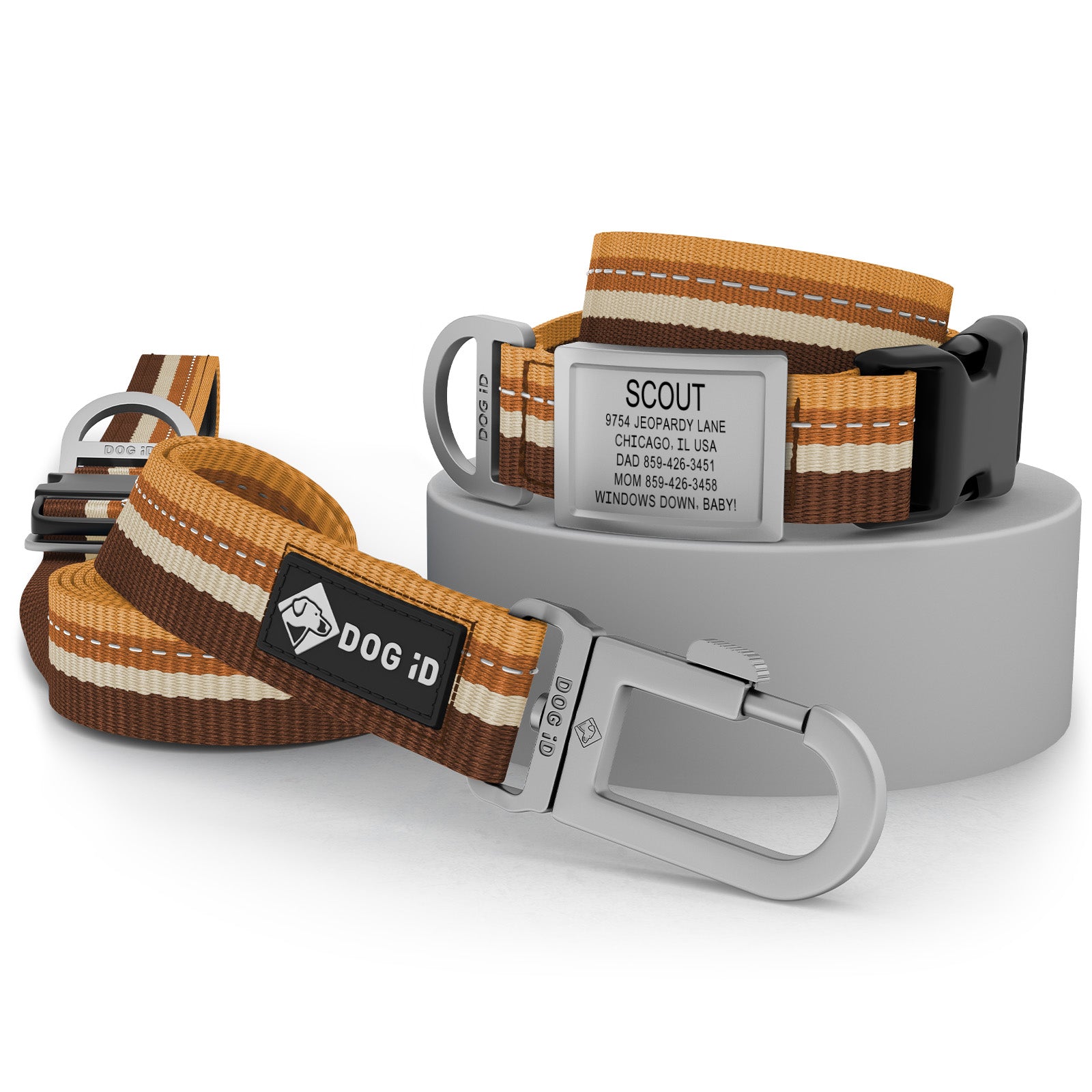 Collar + ID + Leash
