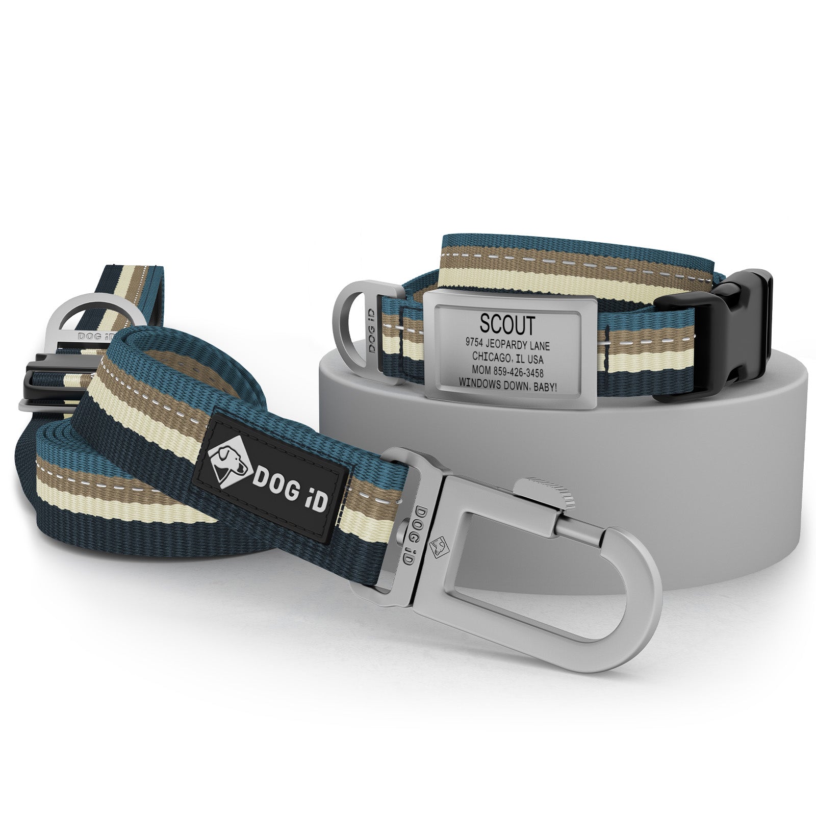 Collar + ID + Leash