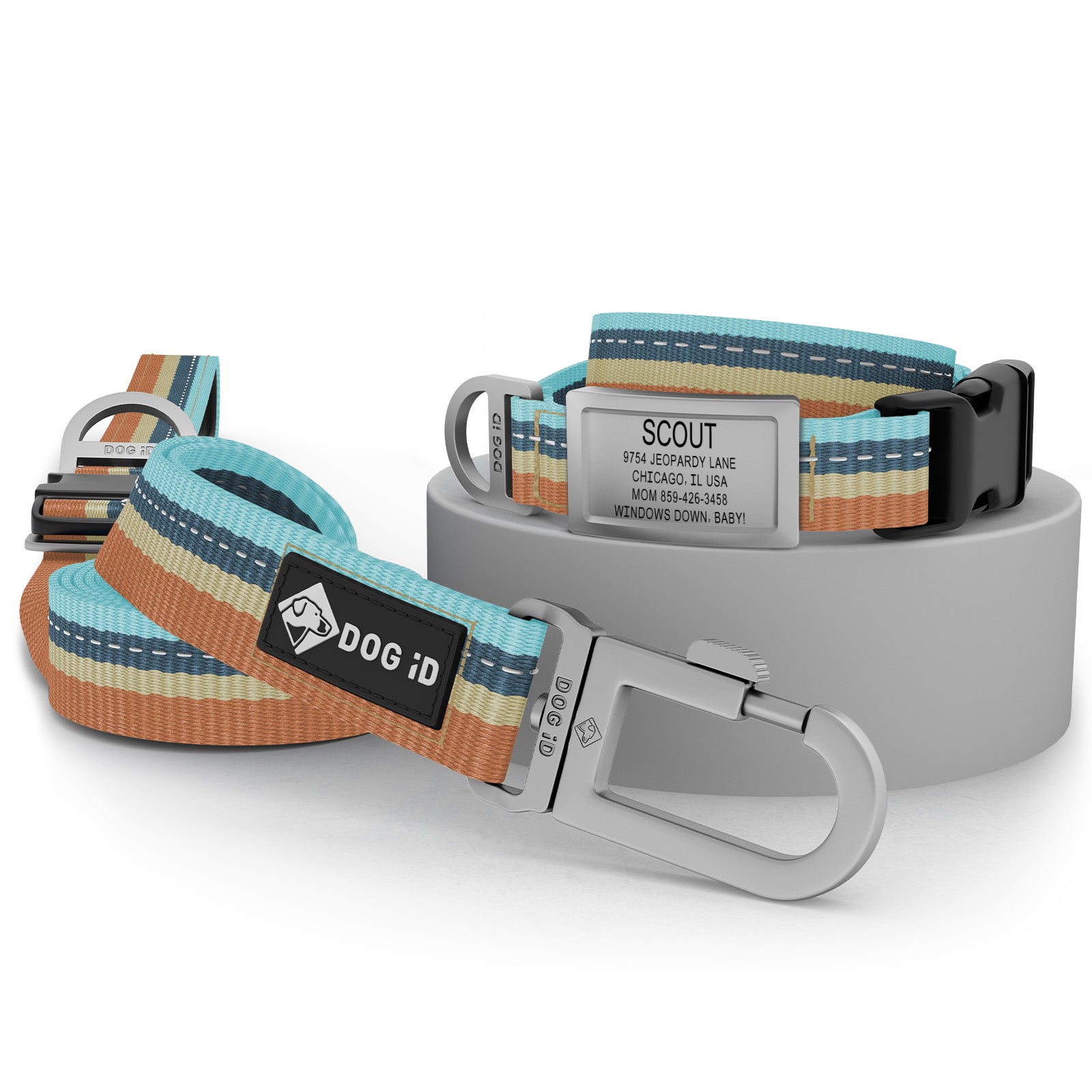 Collar + ID + Leash