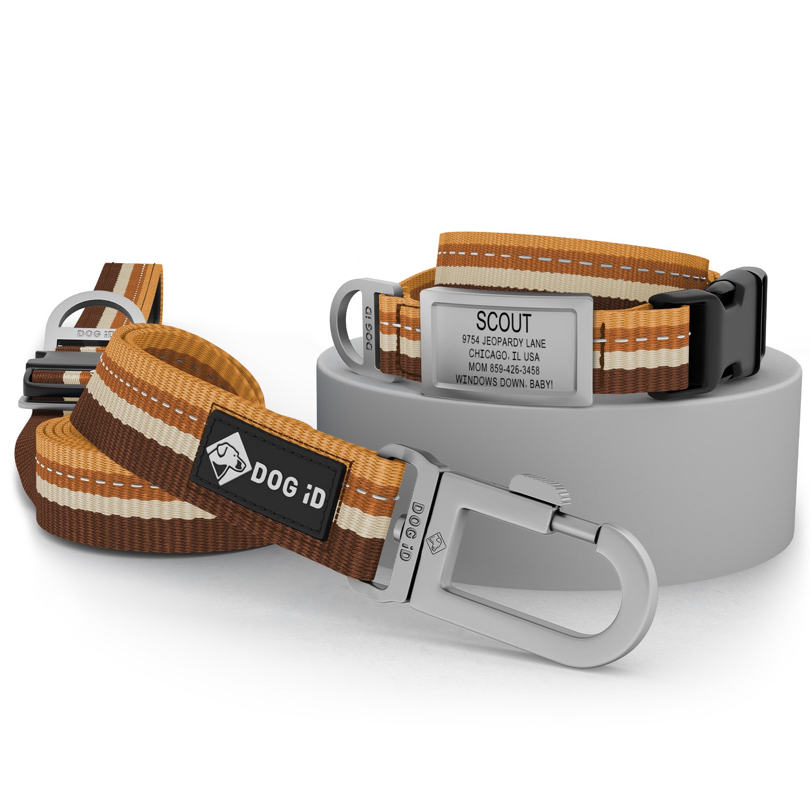 Collar + ID + Leash