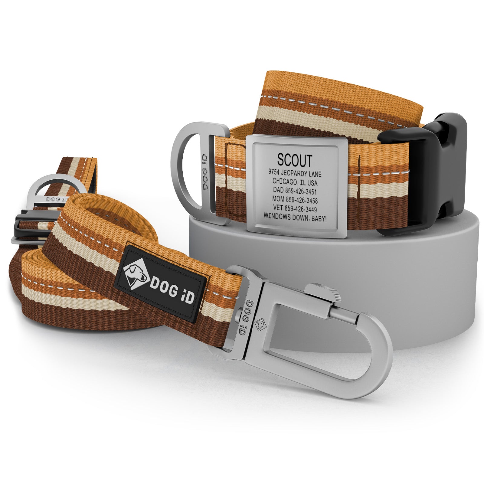 Collar + ID + Leash