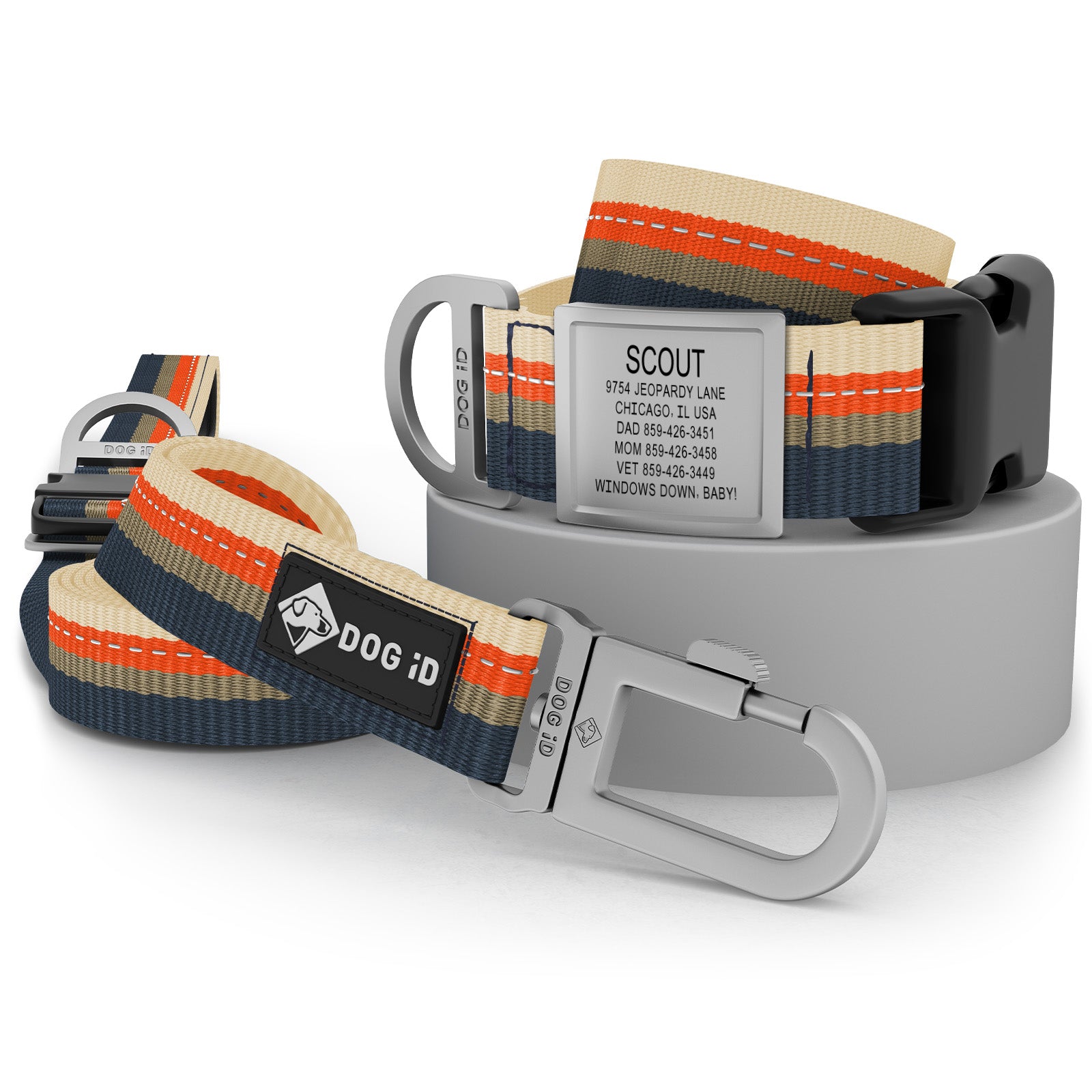 Collar + ID + Leash