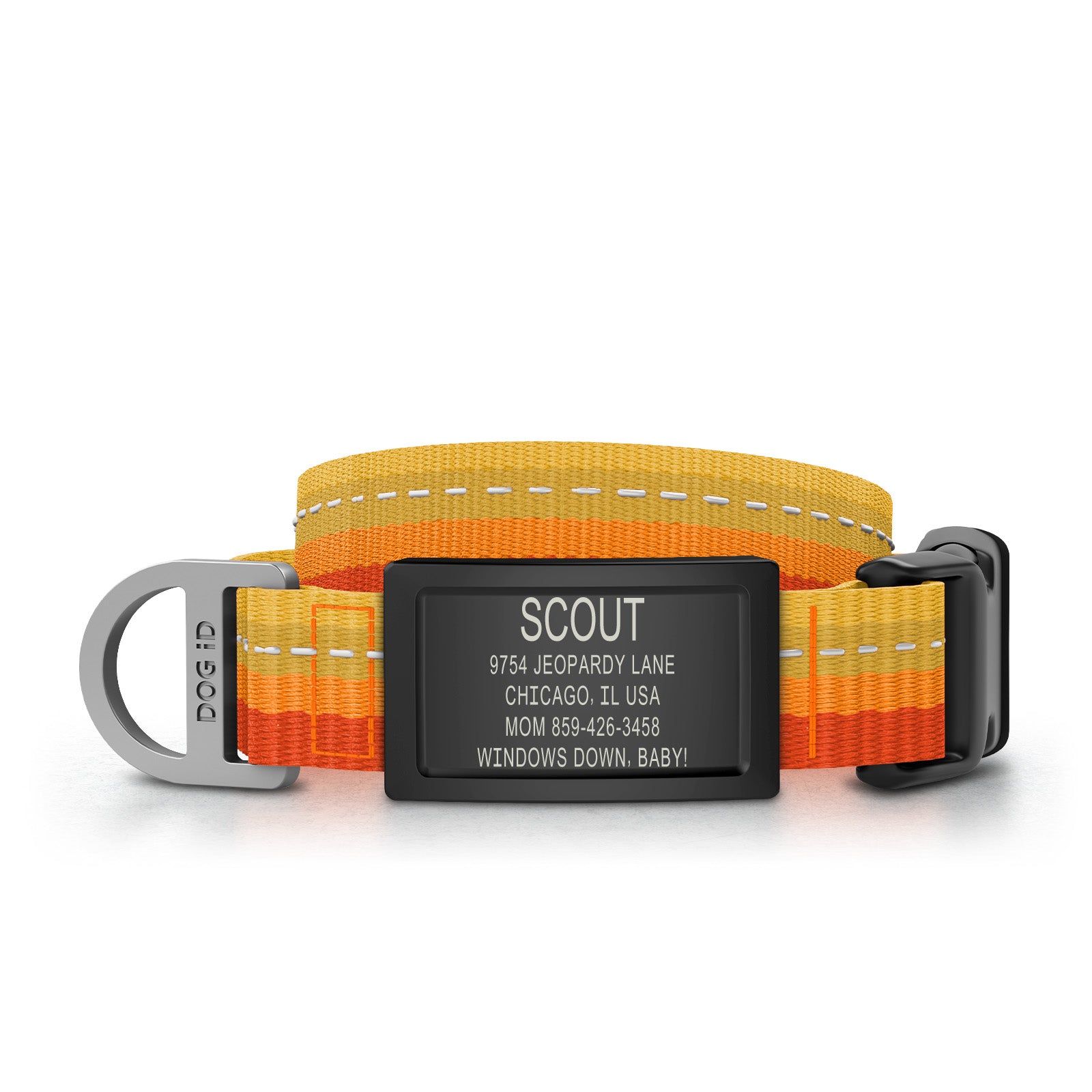 Collar + ID