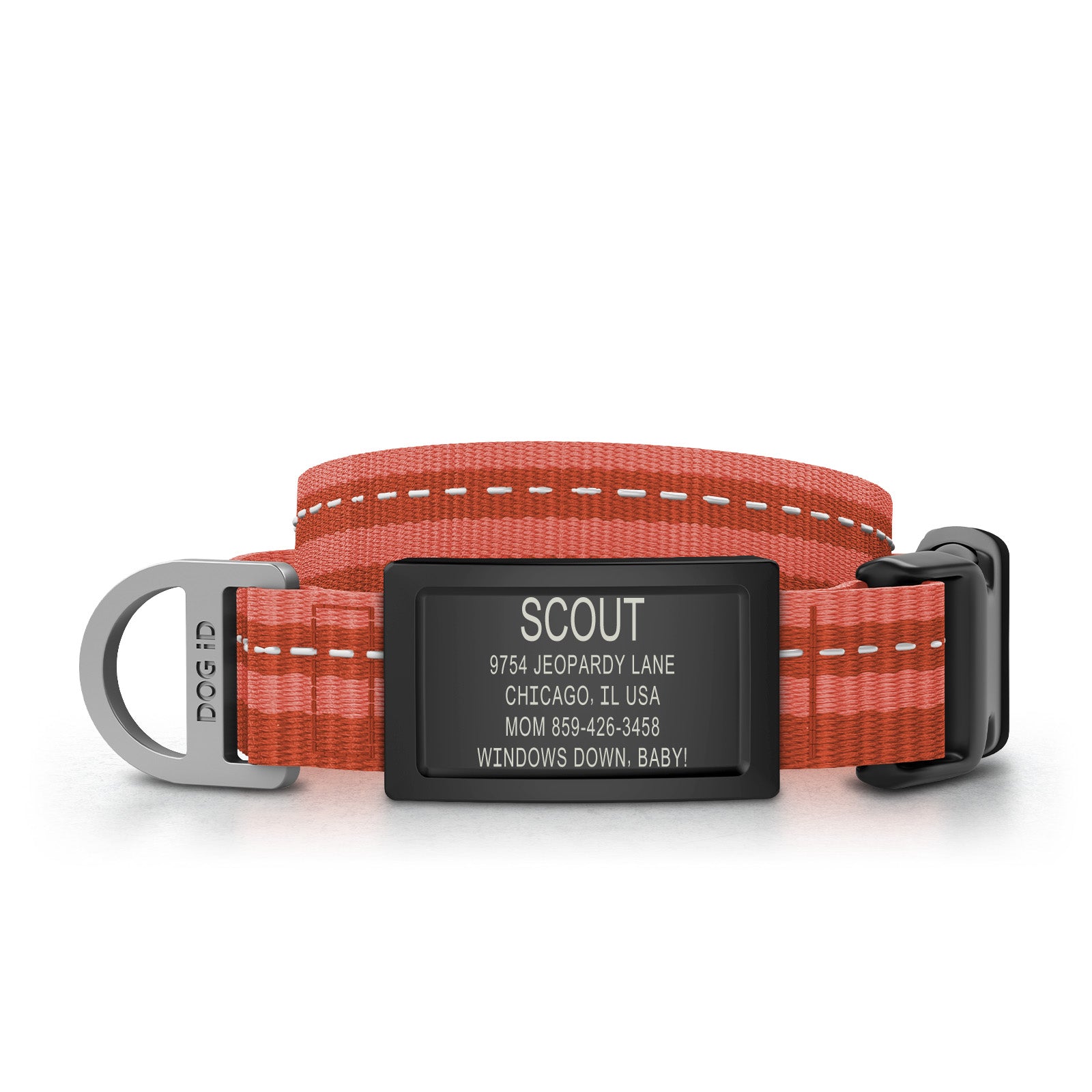 Collar + ID