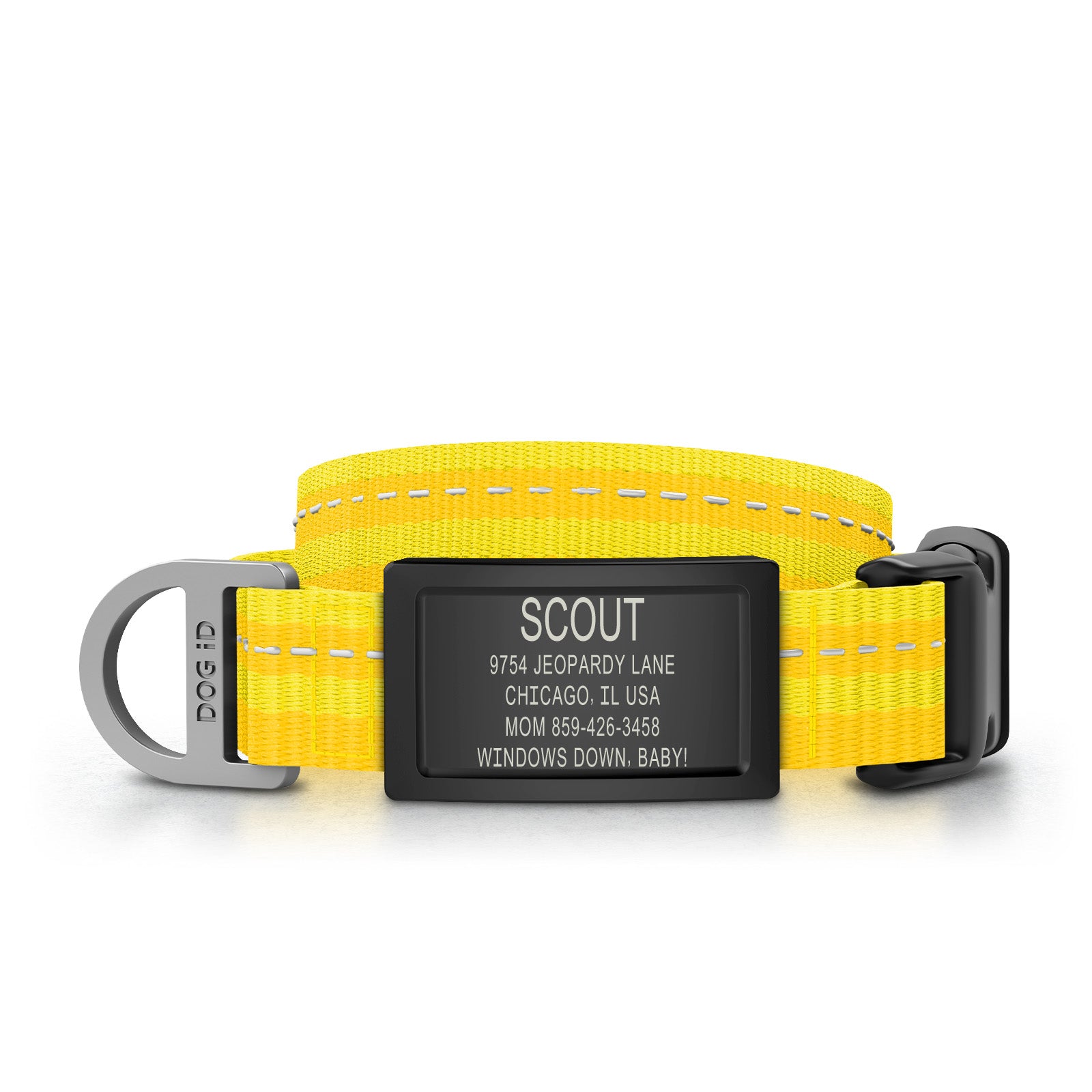 Collar + ID
