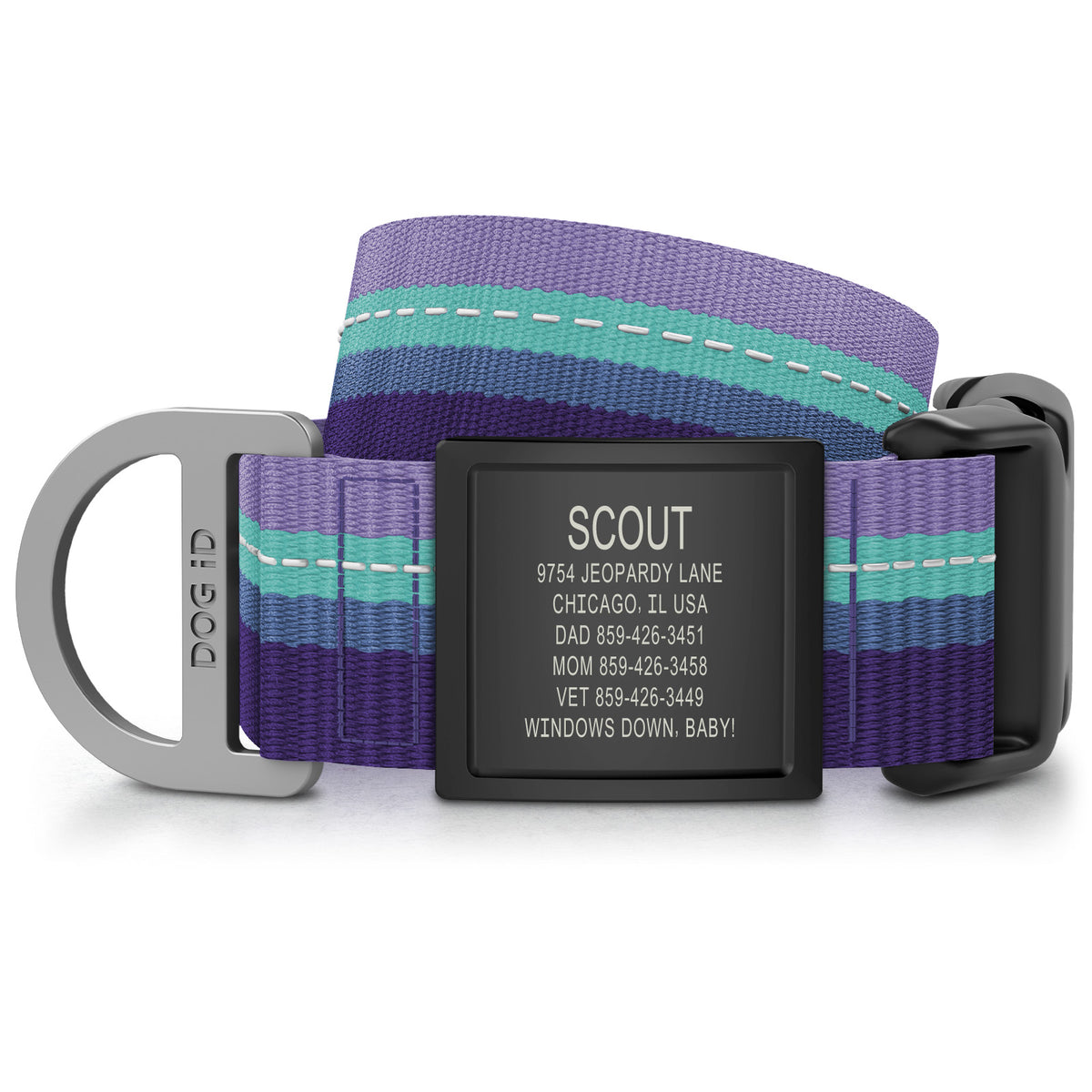 Collar + ID
