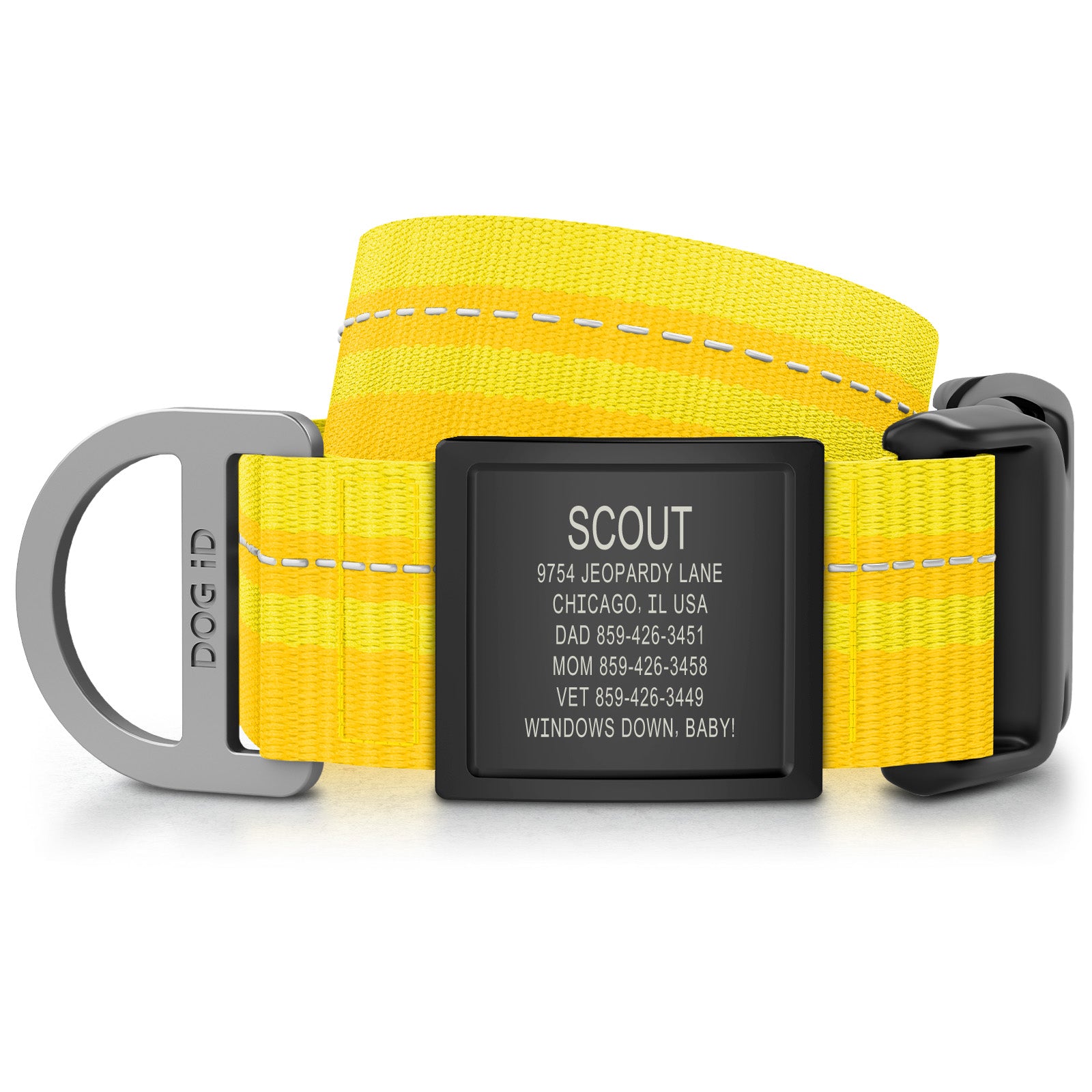 Collar + ID
