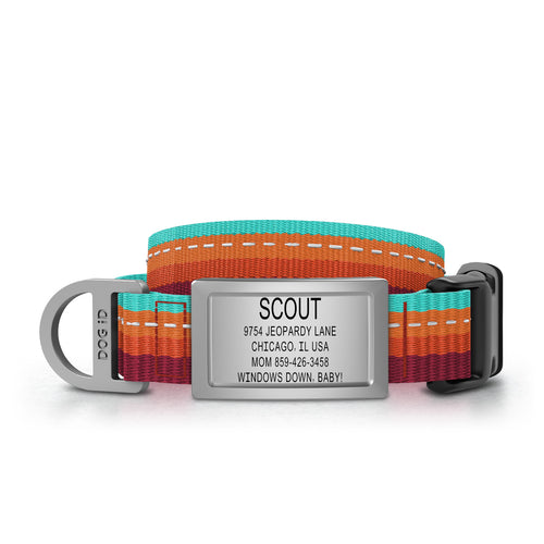 Collar + ID
