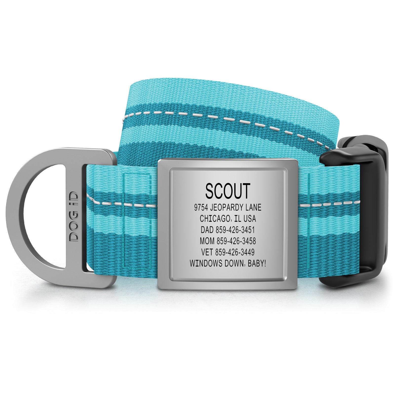 Collar + ID
