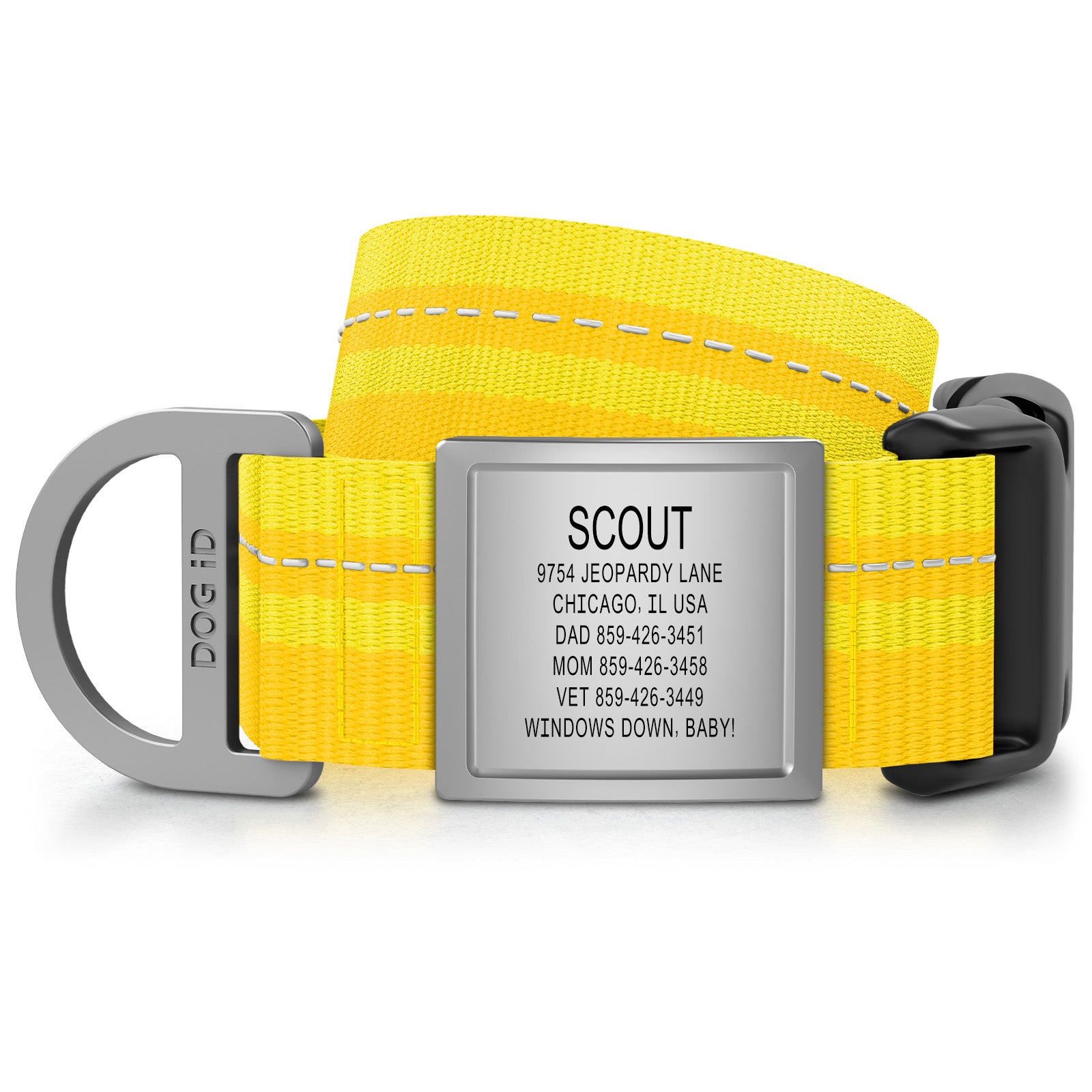 Collar + ID