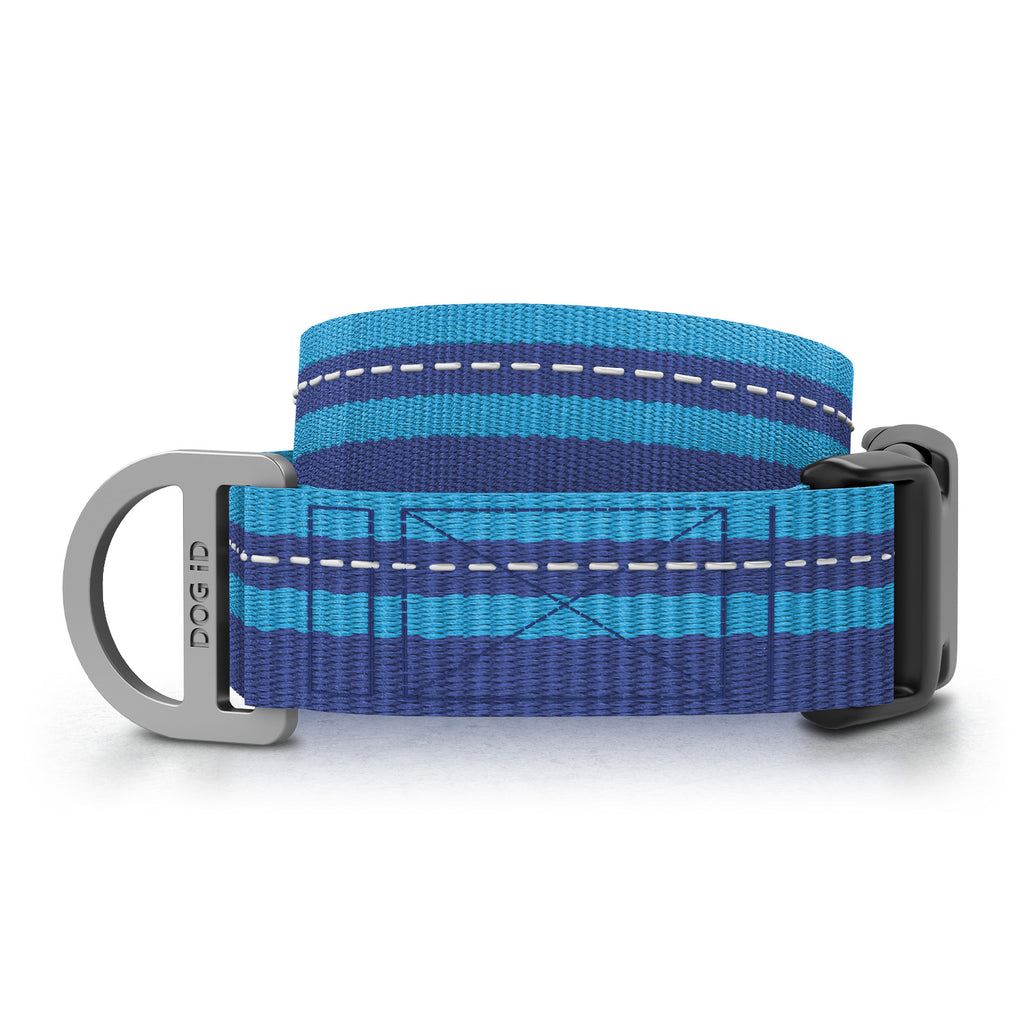 Two Collars Forever Collar
