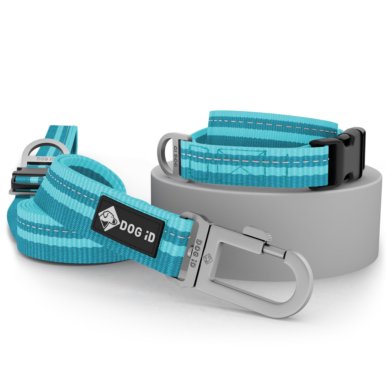 Collar + Leash Teal Small