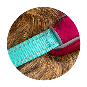 Rip-stop nylon. Built to last. Backed for life.
