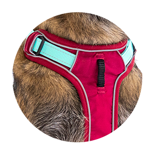 Y-shape. Full range of motion. Zero strain, prevents injury.