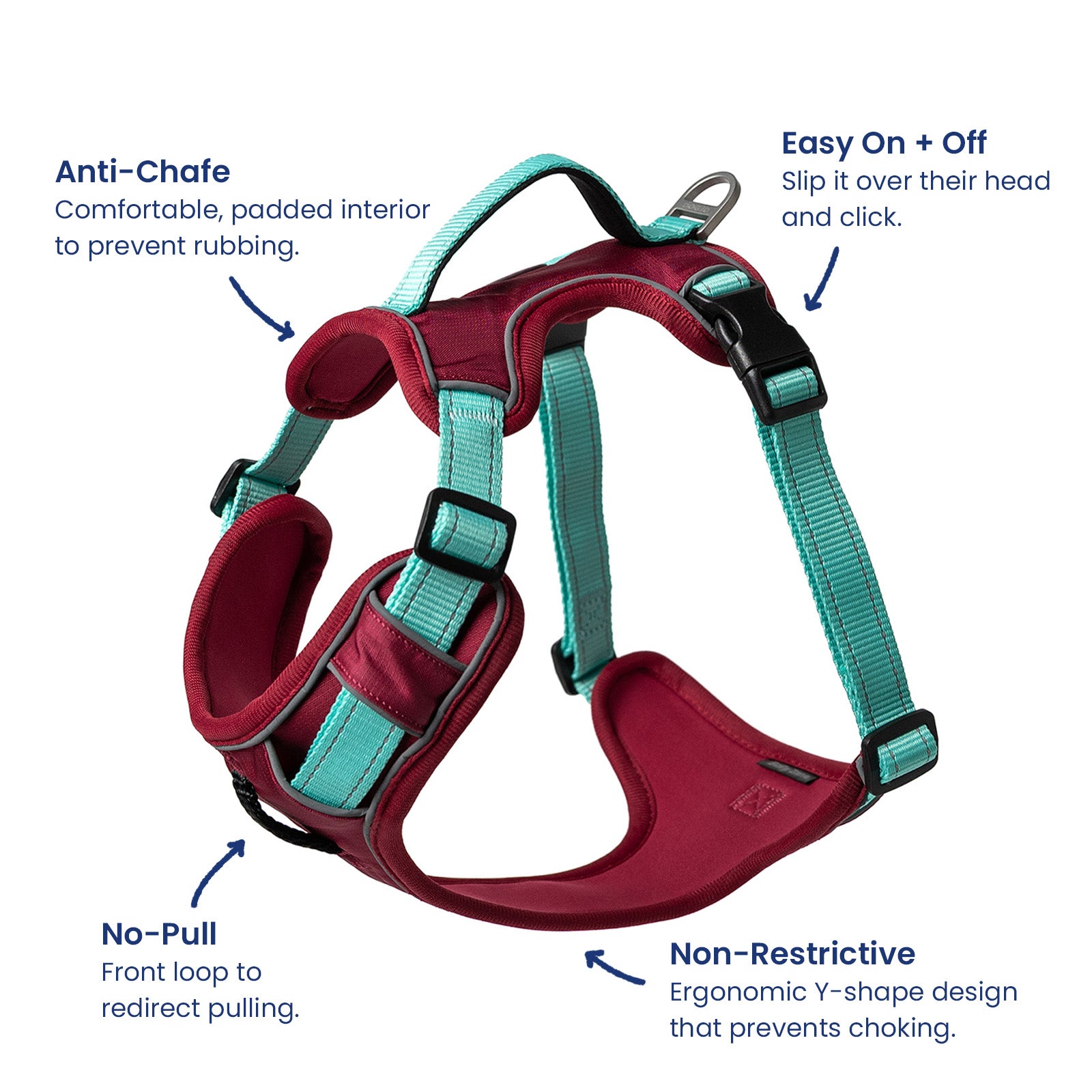 Complete No-Pull Harness Bundle