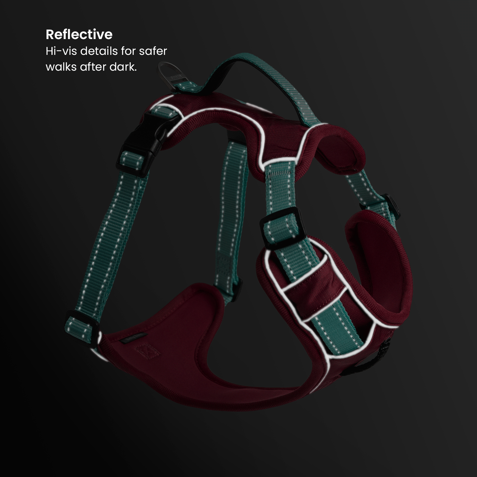 Complete No-Pull Harness Bundle