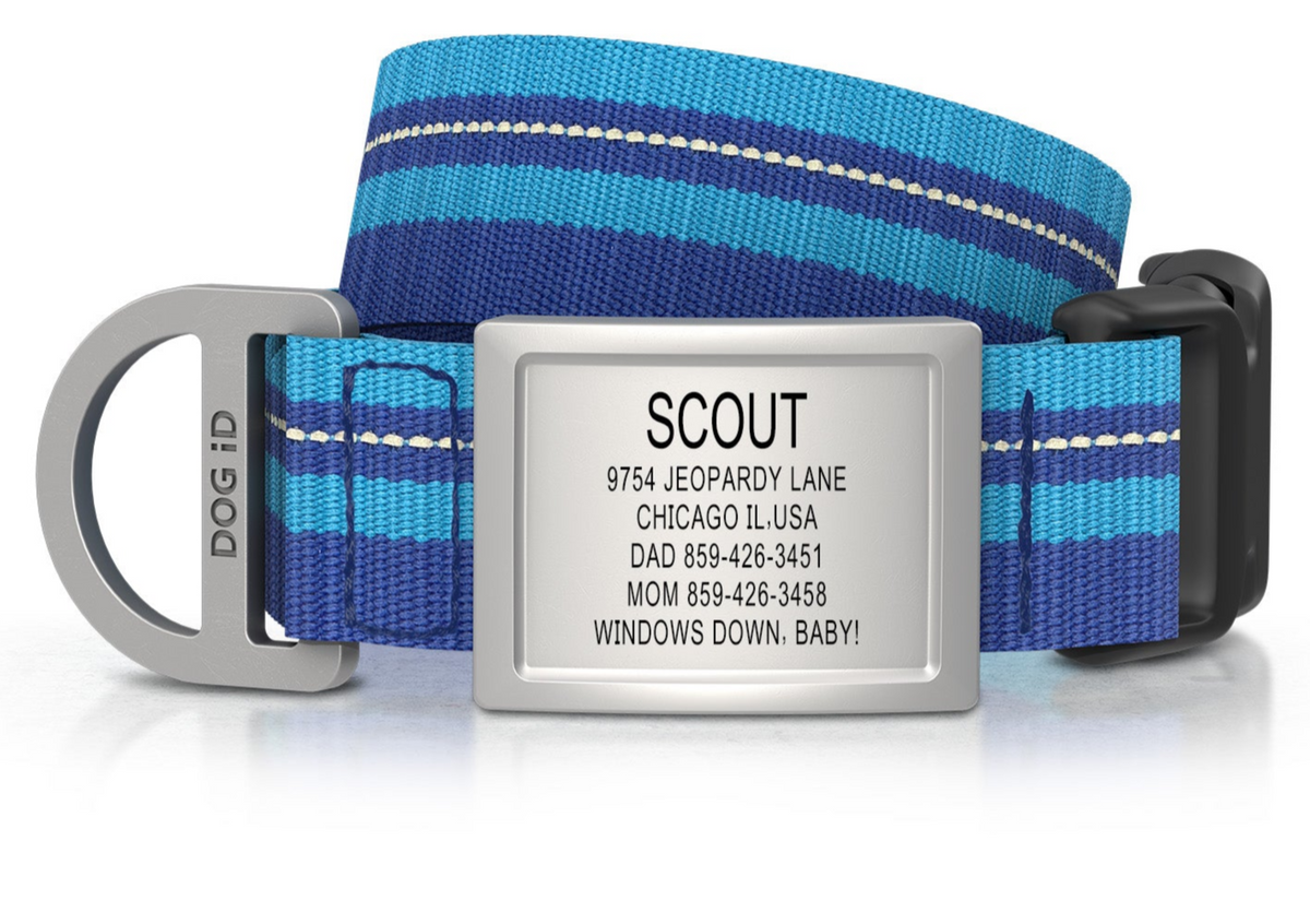 Identification Code Dog DOG iD