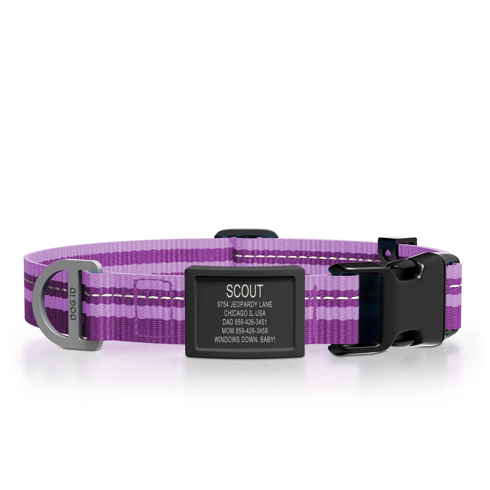 Dog ID Collar 2 ID Med/Large Graphite Violet