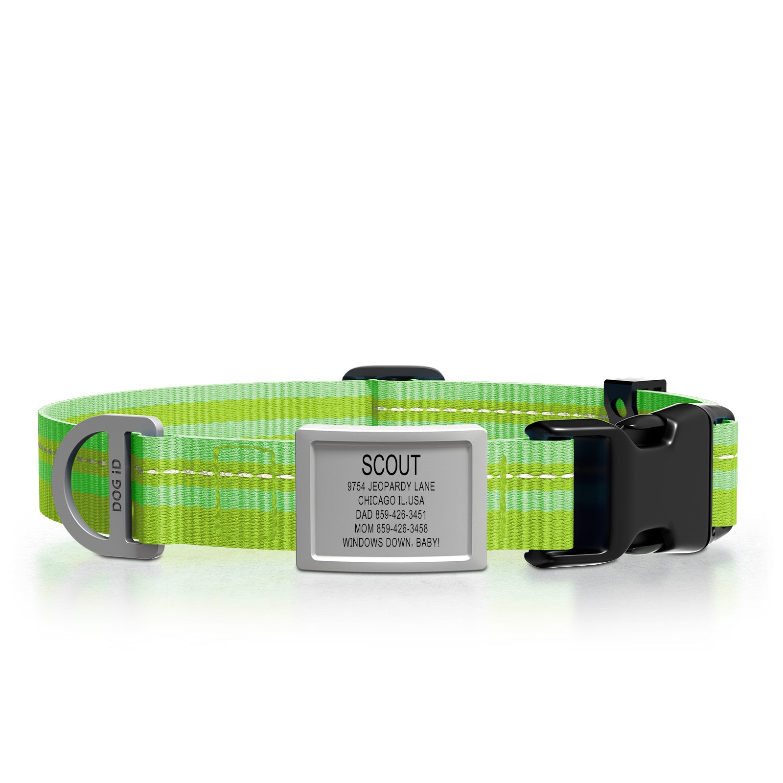 Dog ID Collar 2 ID Med/Large Slate Hi-Viz Green