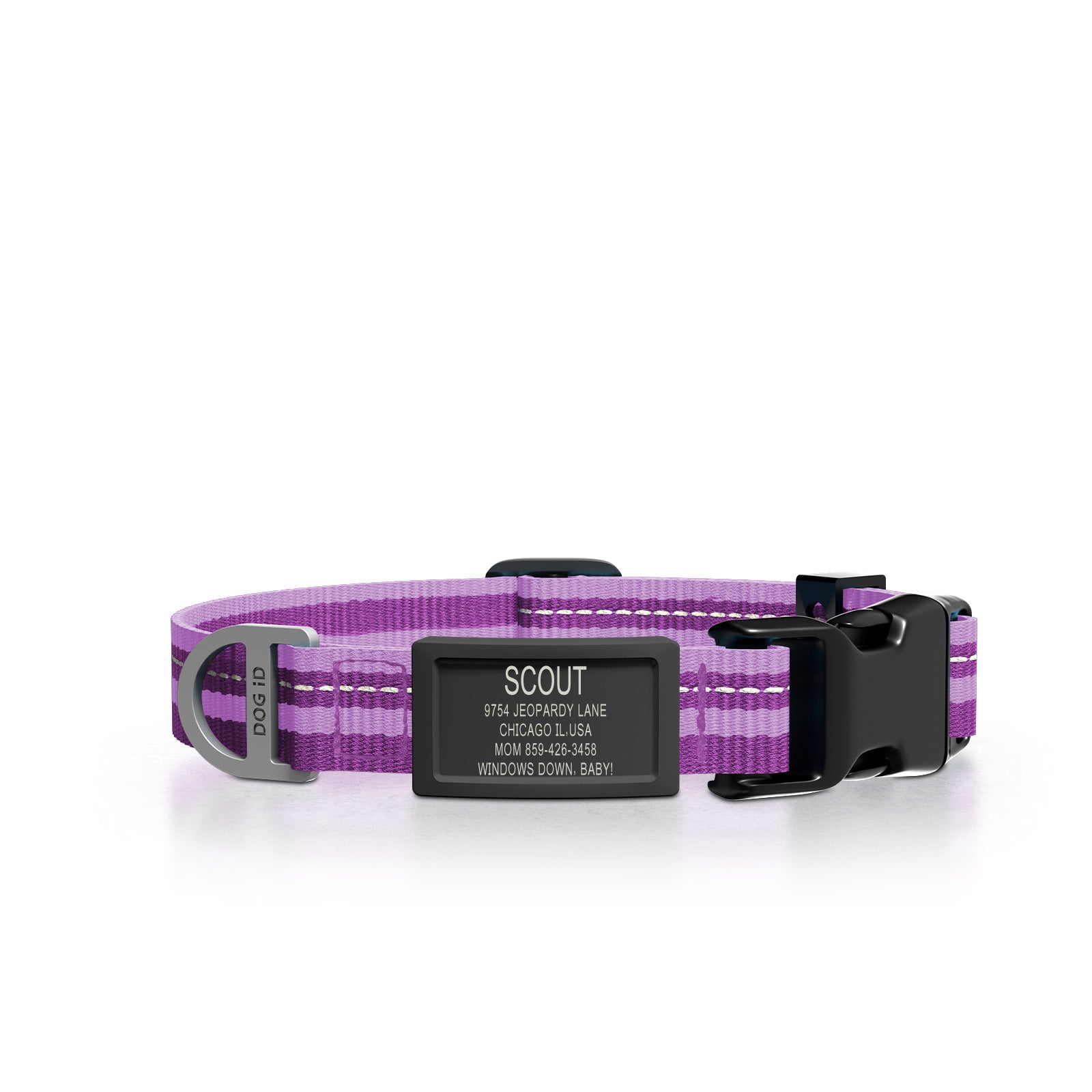 Dog ID Collar 2 ID Small Graphite Violet