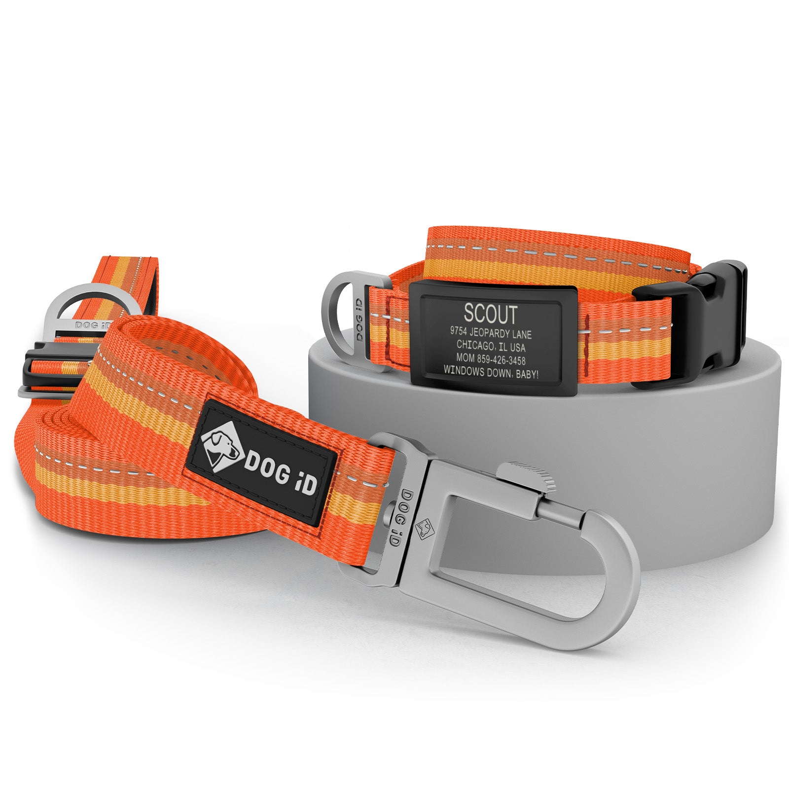 Collar + ID + Leash