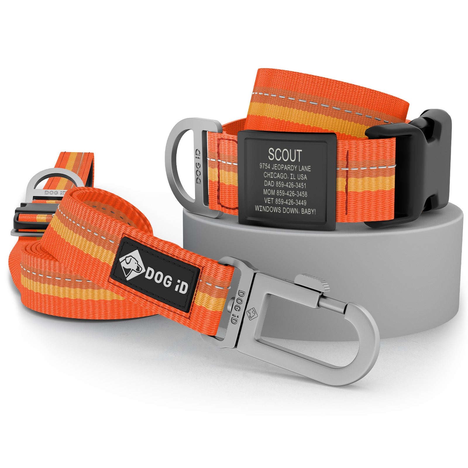 Collar + ID + Leash