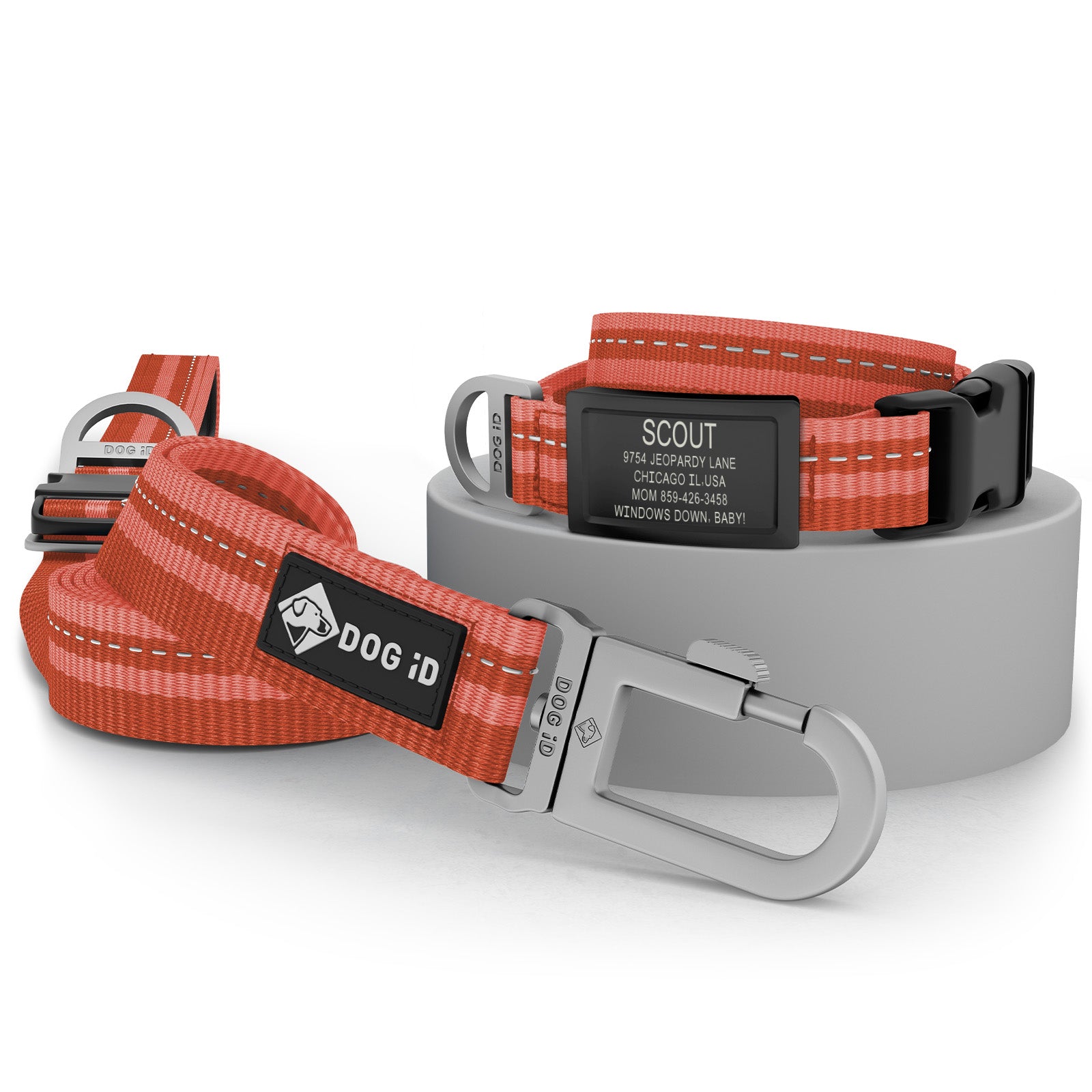 Collar + ID + Leash ID Small Graphite Terra Cotta