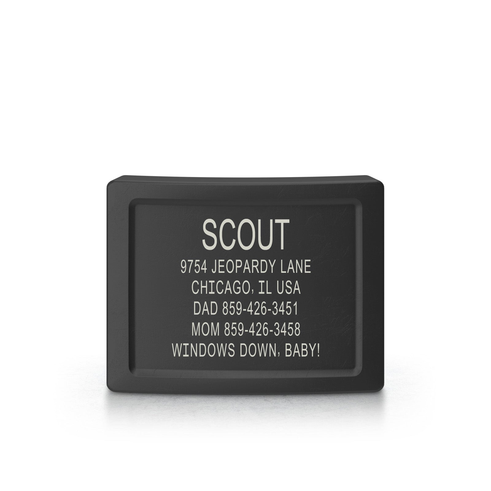 Dog ID 2 ID Graphite 1" (25mm)
