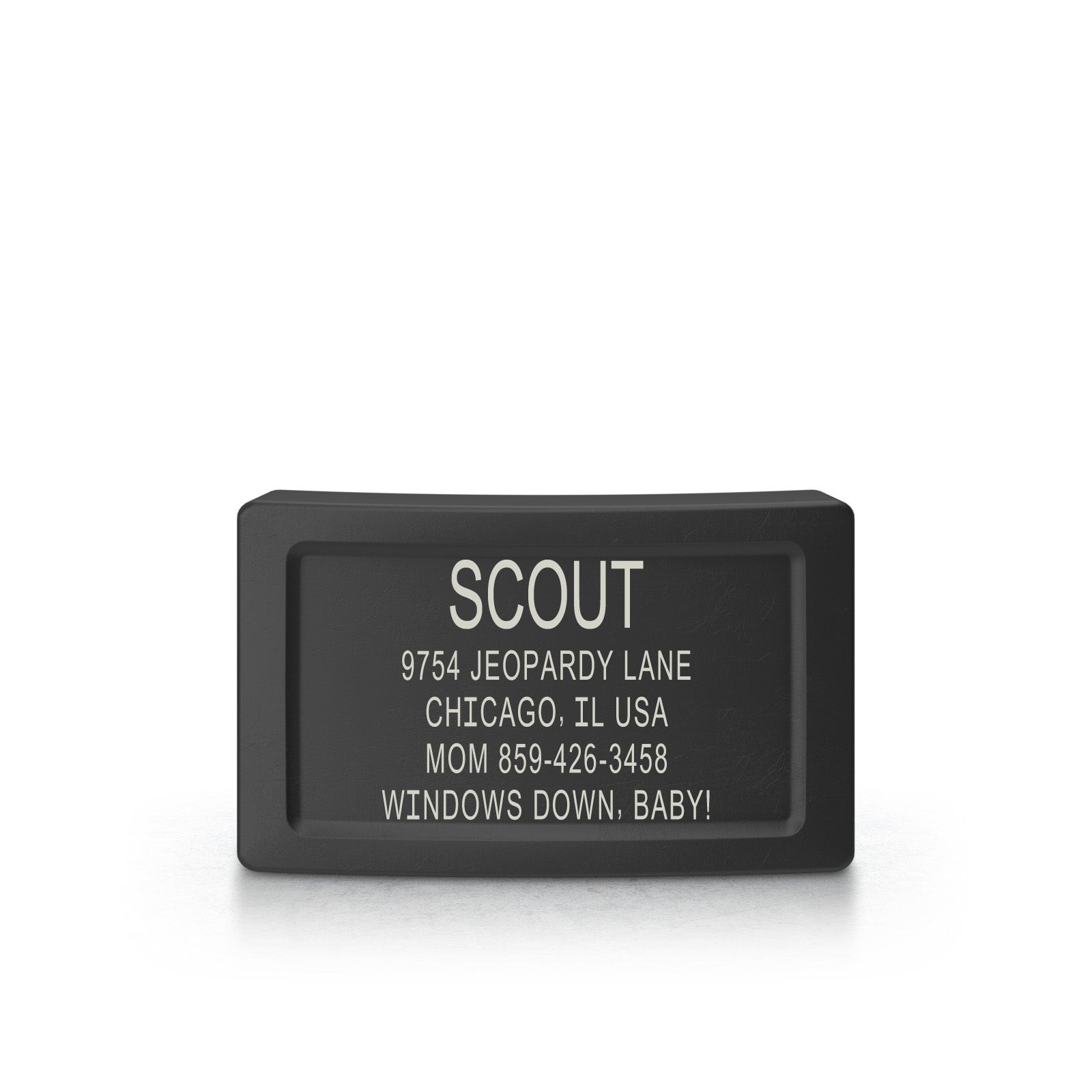 Dog ID 2 ID Graphite 0.75" (19mm)