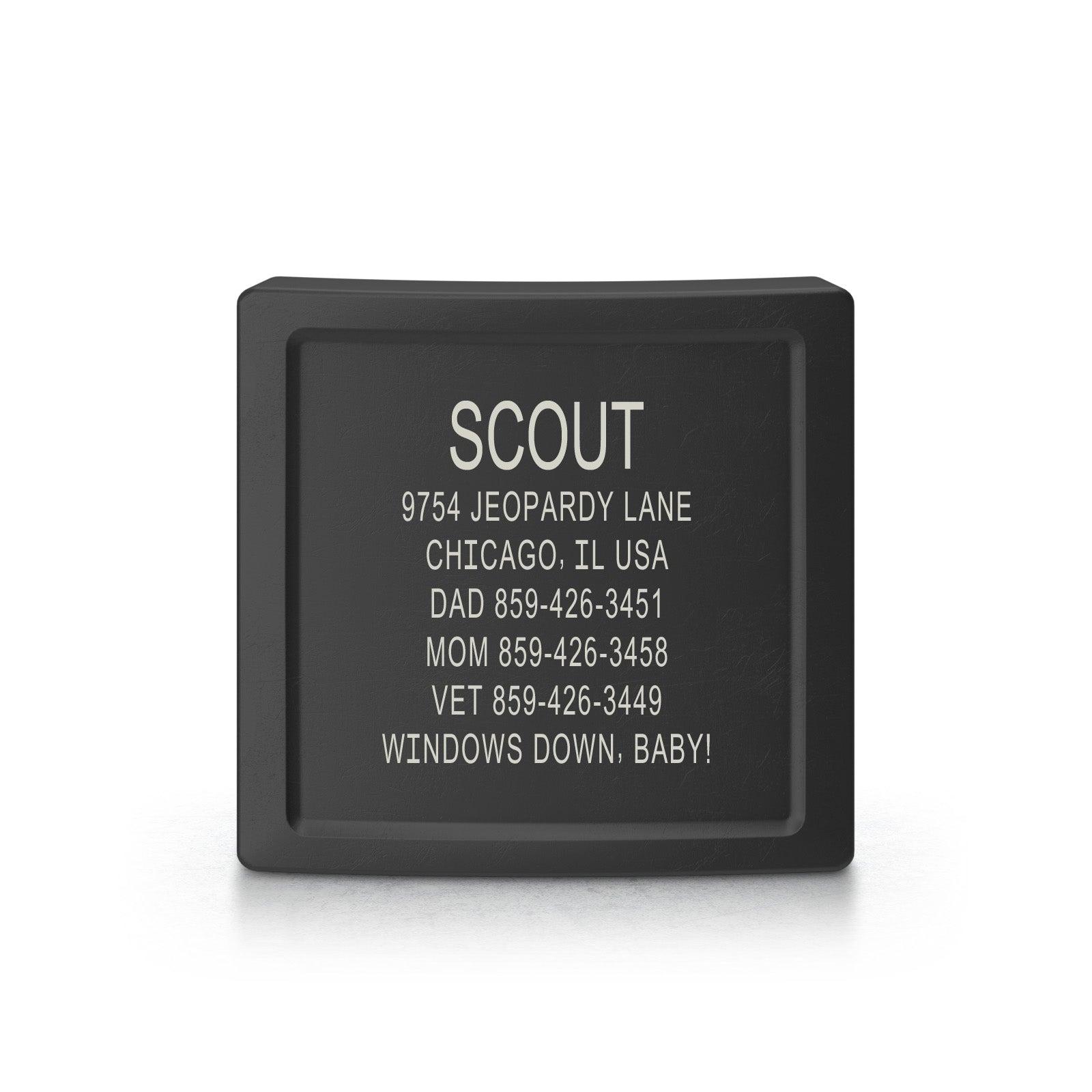 Dog ID 2 ID Graphite 1.25" (31mm)