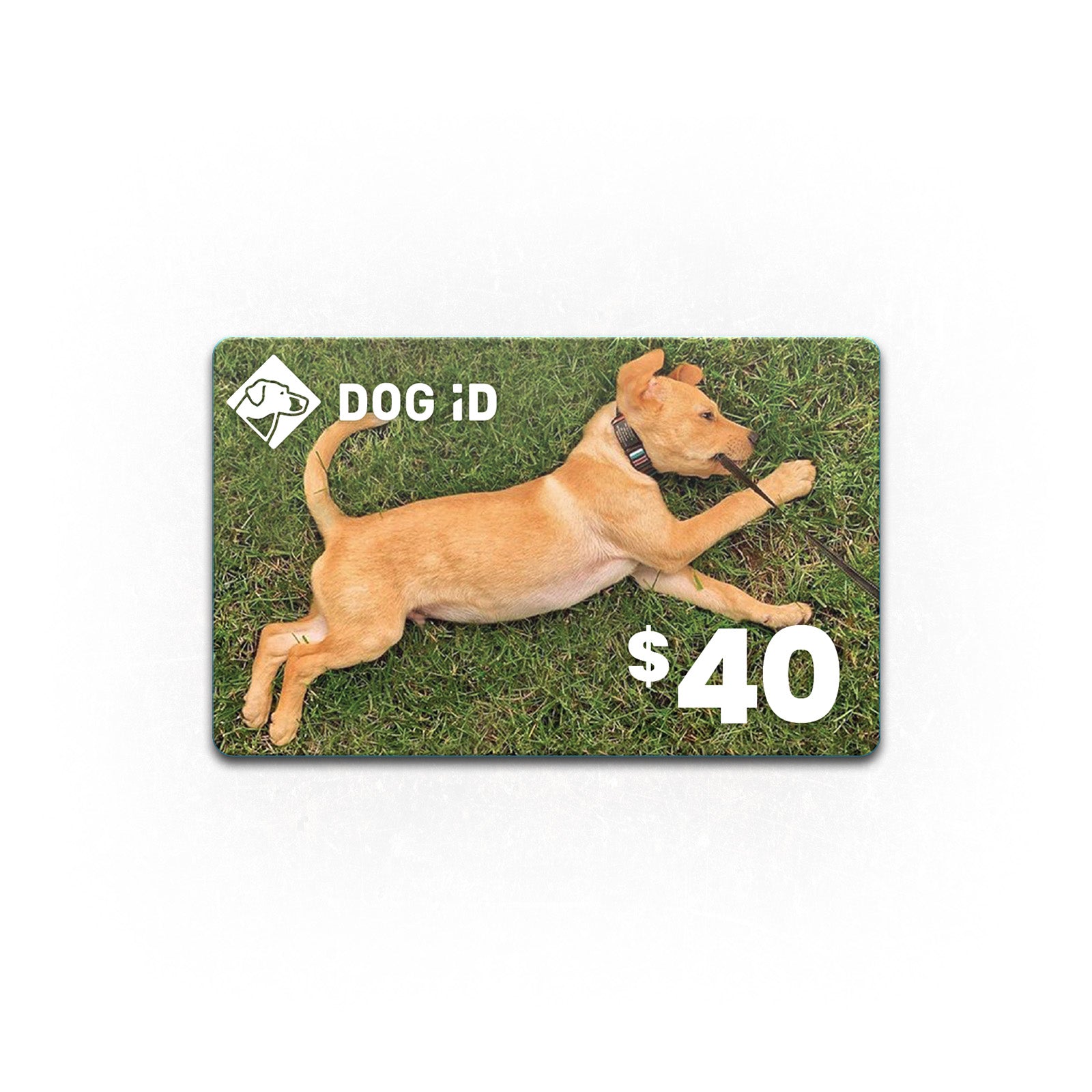 Gift Card Gift Card $40  