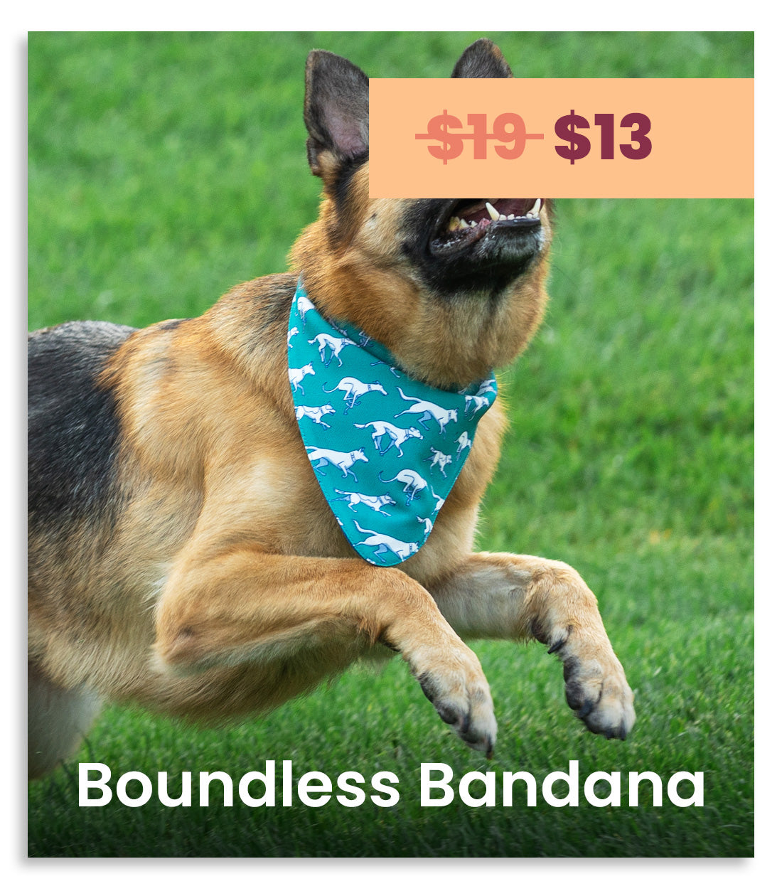 A German Shepherd running on green grass wearing a teal bandana with a white dinosaur pattern. An orange price tag graphic at the top reads '$19 - $13' and white text at the bottom reads 'Boundless Bandana'.