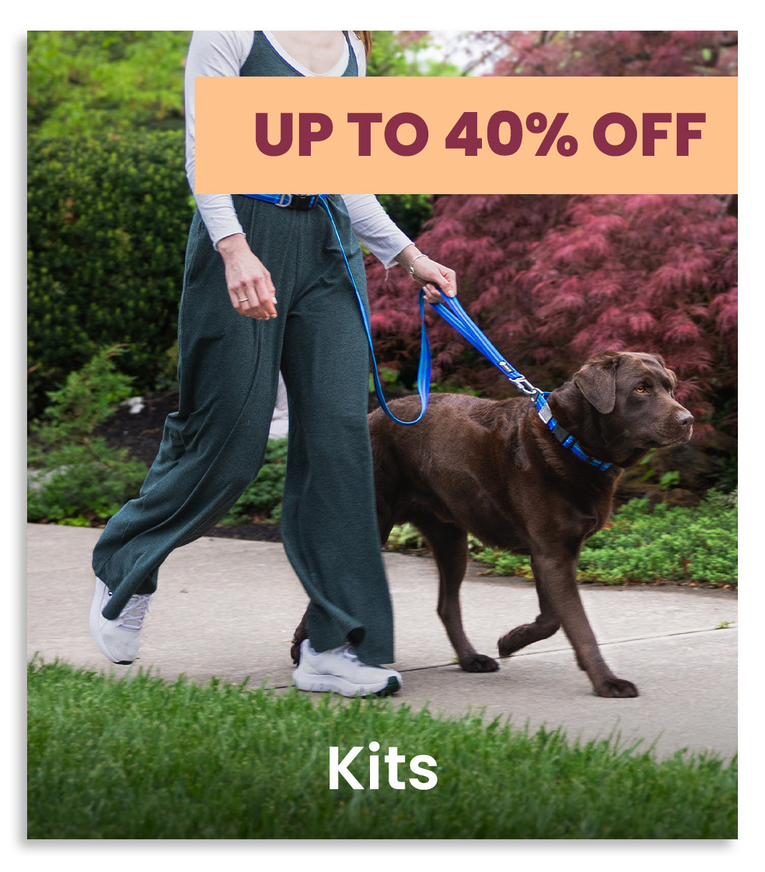A person walking a brown dog on a blue leash outdoors, with green and pink foliage in the background and an orange banner reading 'UP TO 40% OFF' across the top. The word 'Kits' appears at the bottom.