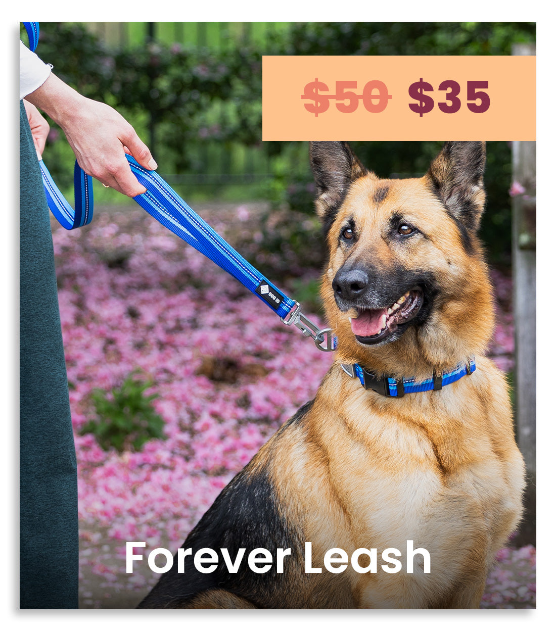 A German Shepherd wearing a blue Forever Leash collar and holding a blue striped leash in an outdoor garden setting with pink flowers. A price overlay shows '$50 $35' at the top right.
