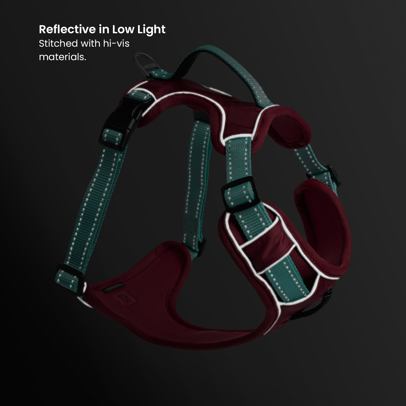 Harness + ID + Leash ID