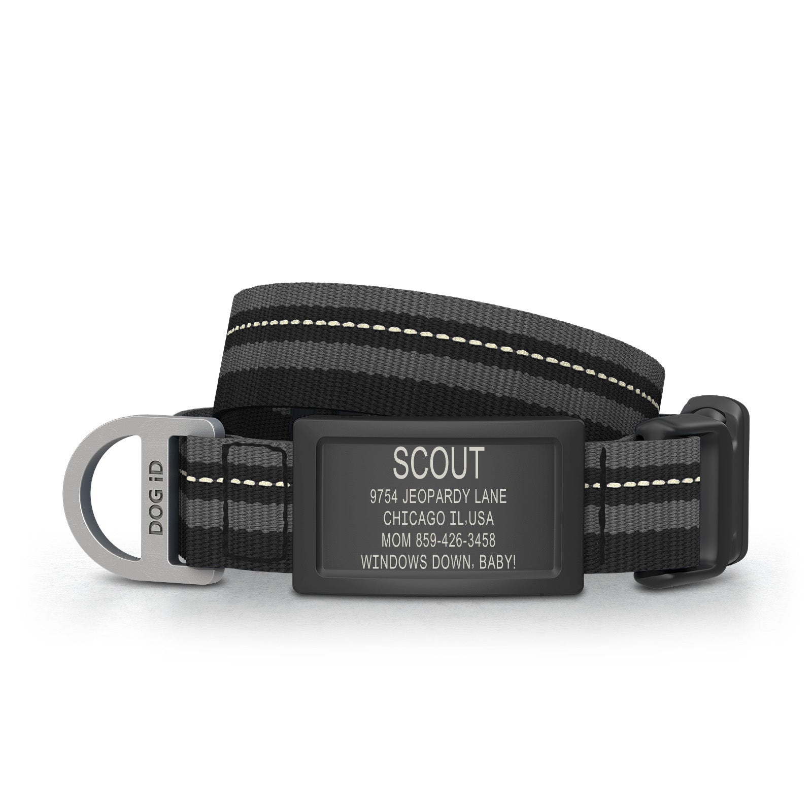 Dog ID Collar 2 ID Small Graphite Black