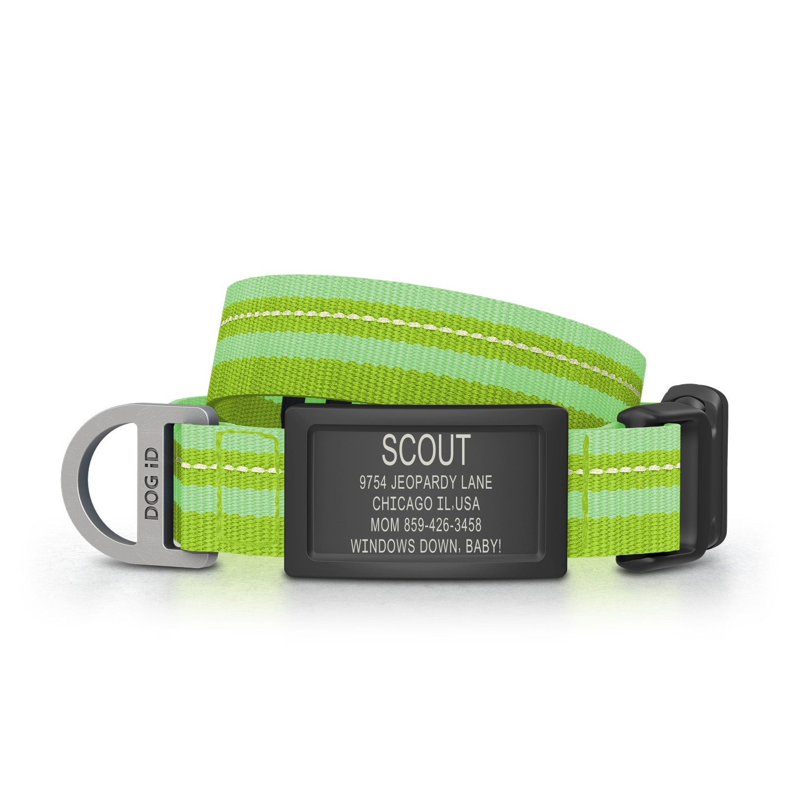 Dog ID Collar 2 ID Small Graphite Hi-Viz Green