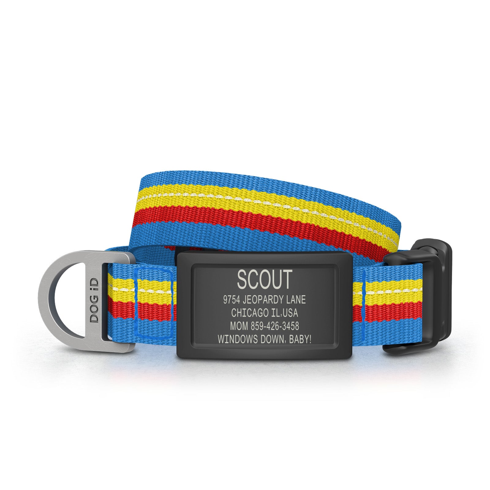 Dog ID Collar 2