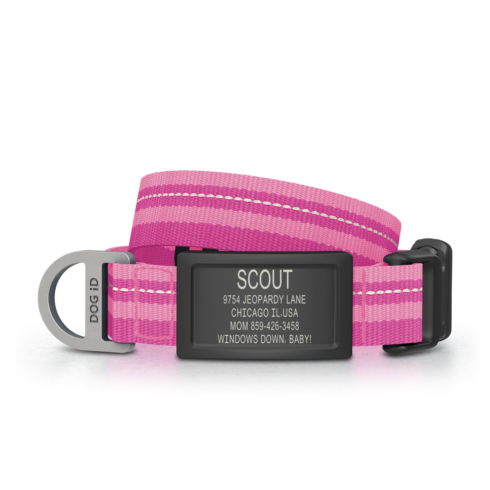 Dog ID Collar 2 ID Small Graphite Pink