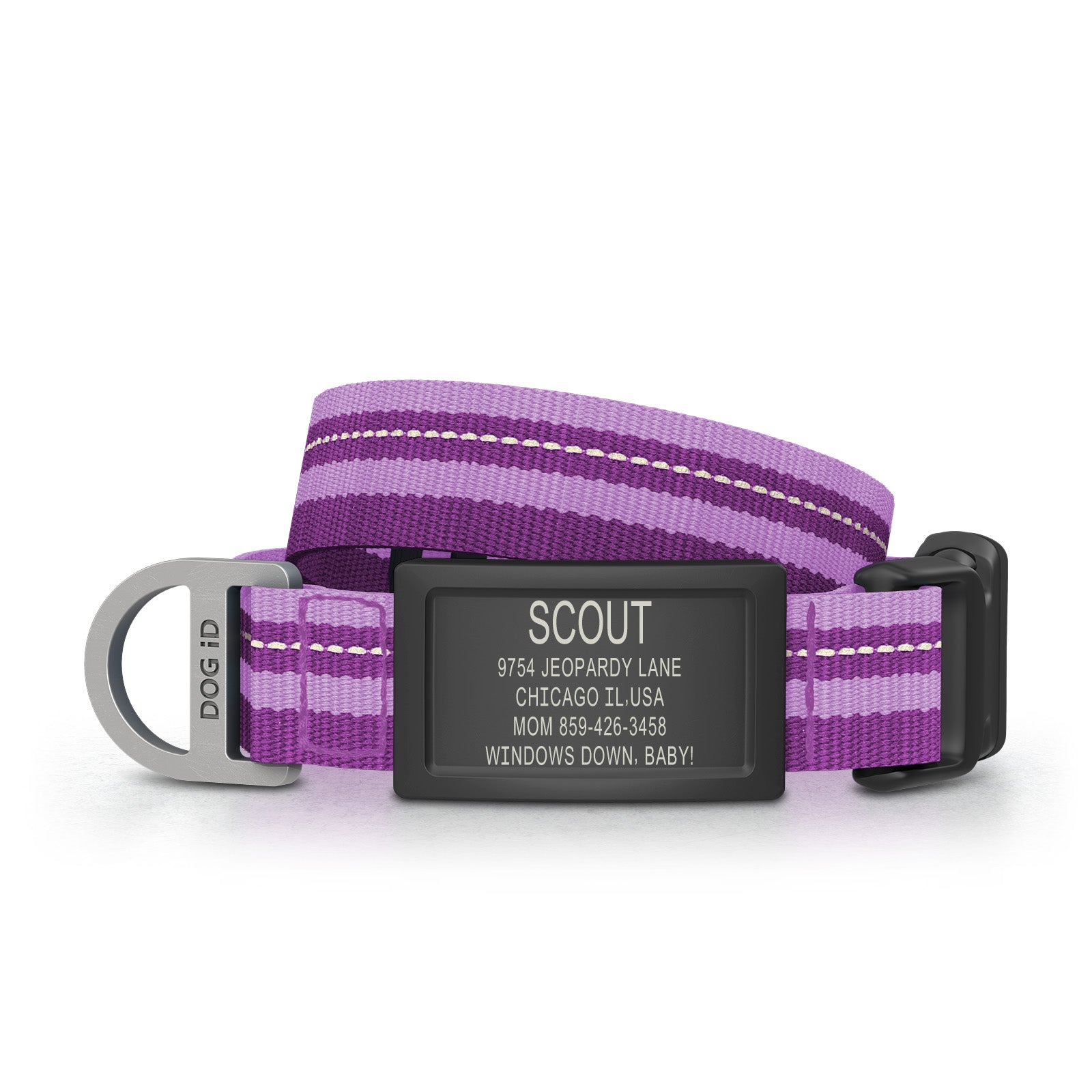 Dog ID Collar 2 ID Small Graphite Violet