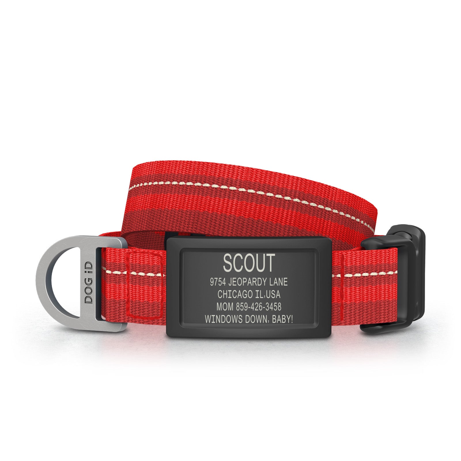 Dog ID Collar 2 ID Small Graphite Red