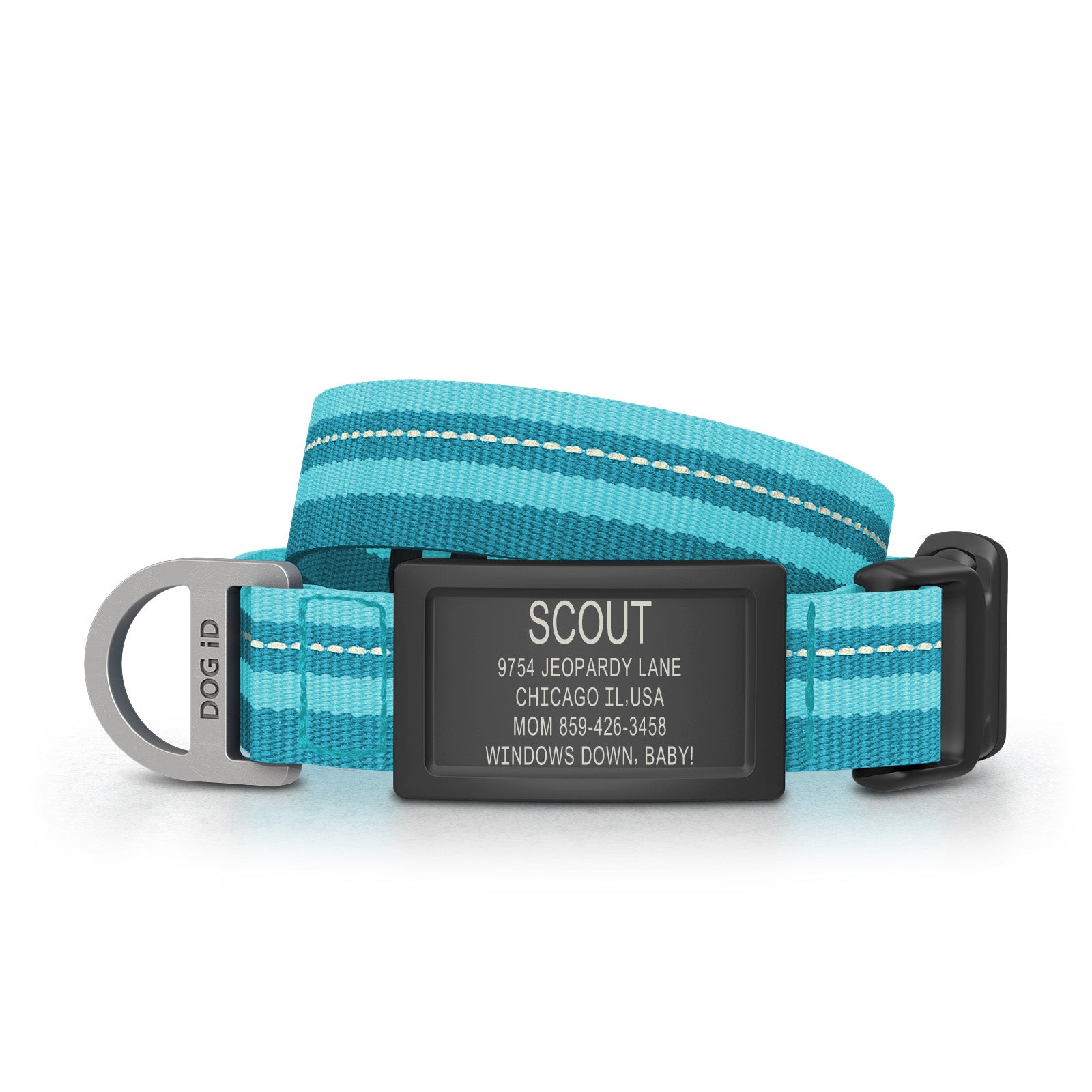 Dog ID Collar 2 ID Small Graphite Teal