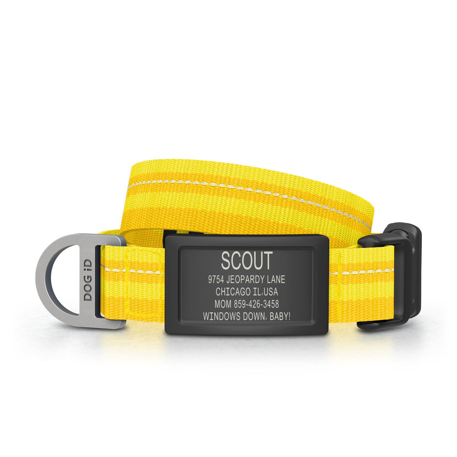 Dog ID Collar 2 ID Small Graphite Yellow