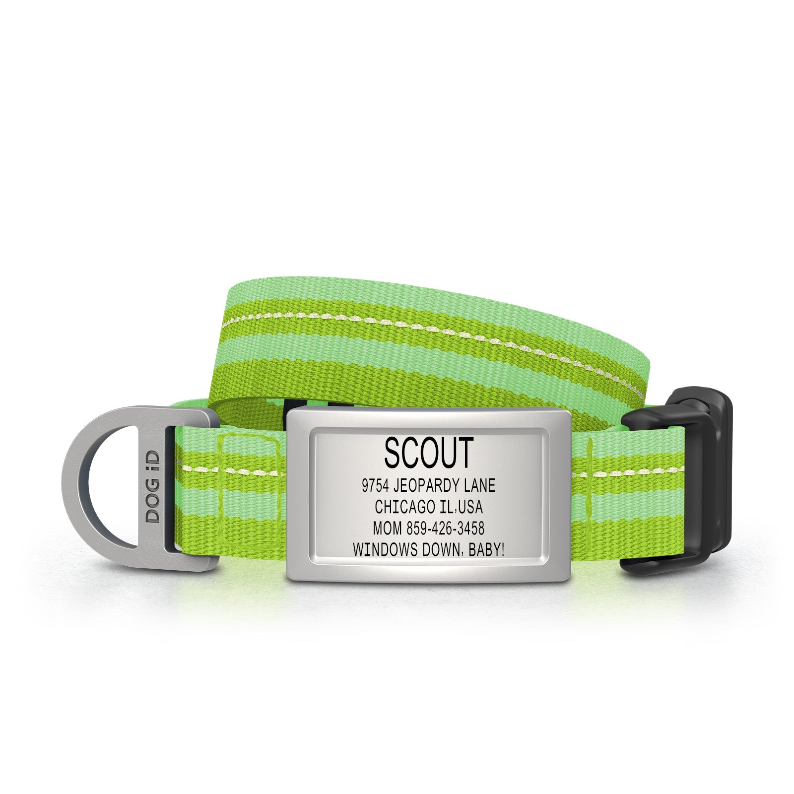 Dog ID Collar 2 ID Small Slate Hi-Viz Green