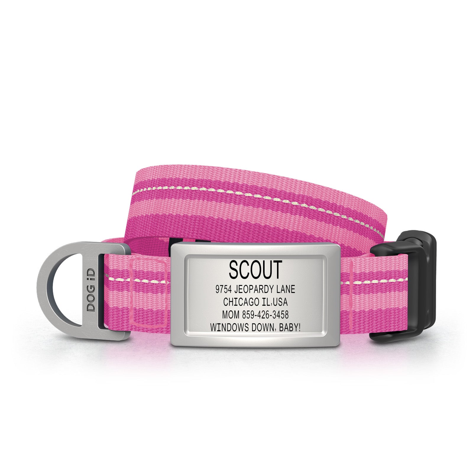 Dog ID Collar 2 ID Small Slate Pink