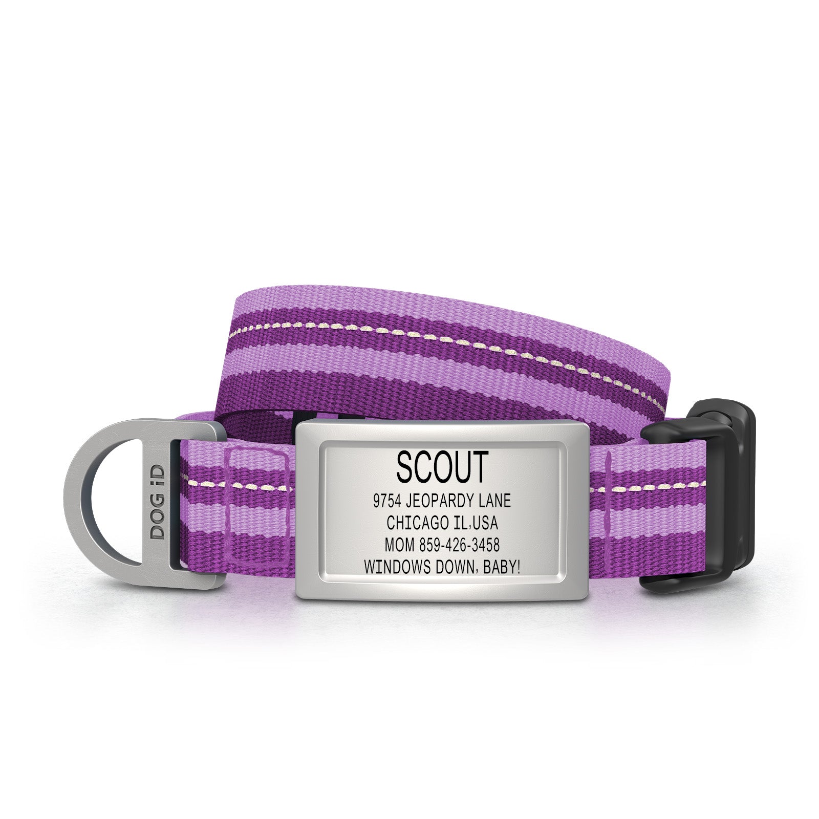 Dog ID Collar 2 ID Small Slate Violet