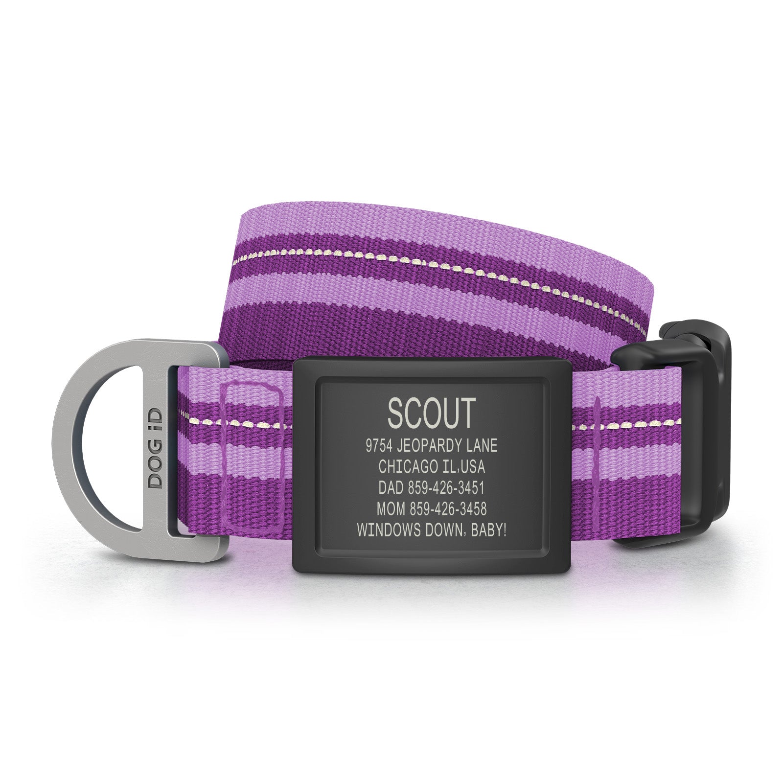 Dog ID Collar 2 ID Med/Large Graphite Violet