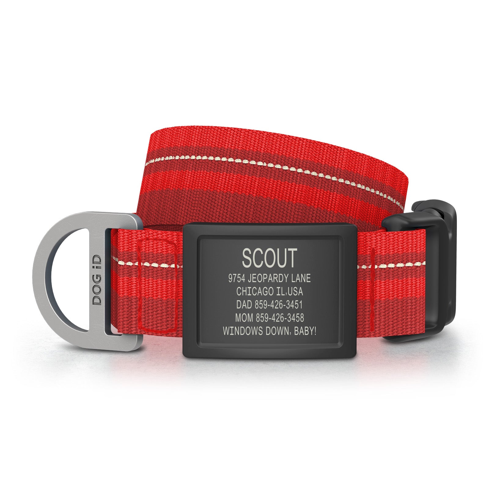 Dog ID Collar 2 ID Med/Large Graphite Red